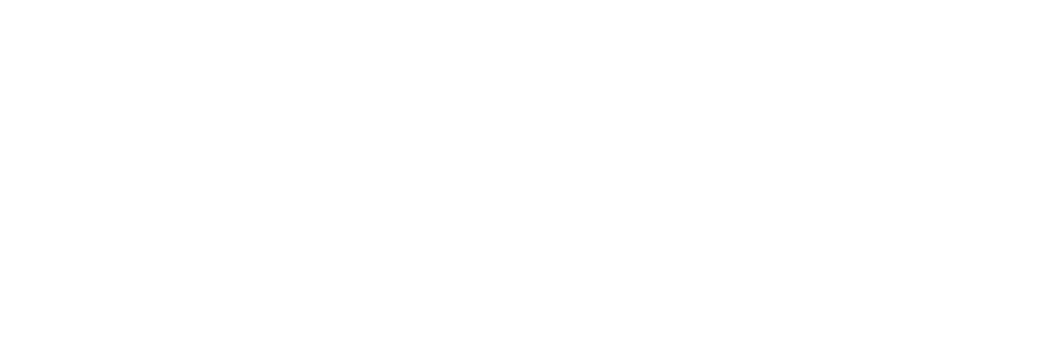 Bosch Automotive Logo